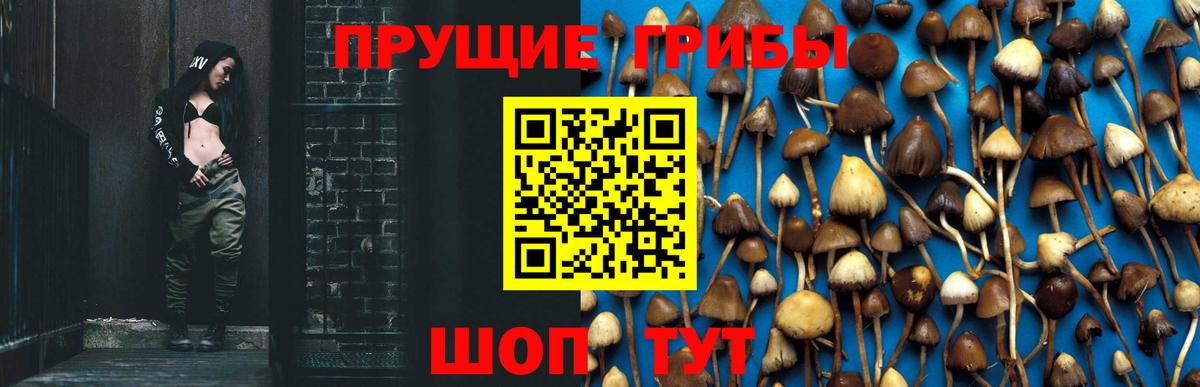 Псилоцибиновые грибы GOLDEN TEACHER  Вход с VPN  Псилоцибиновые грибы Psilocybine cubensis  Артём 