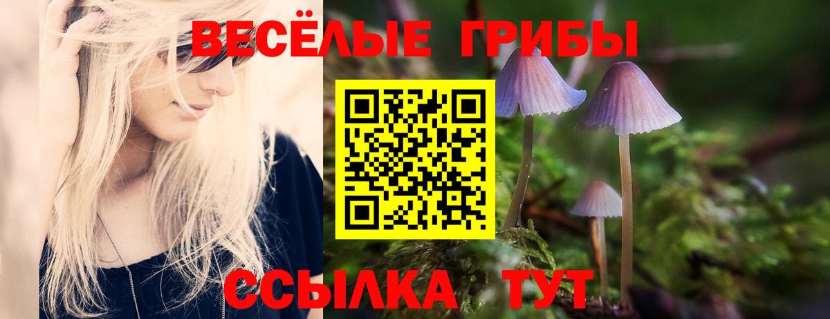 Псилоцибиновые грибы прущие грибы Артём
